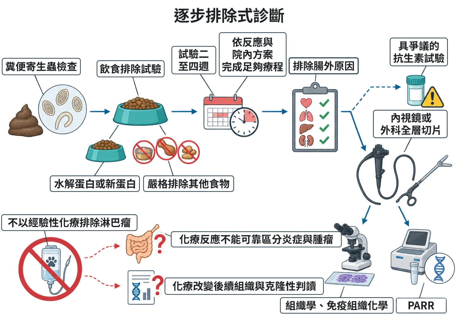 逐步排除式診斷教學插圖