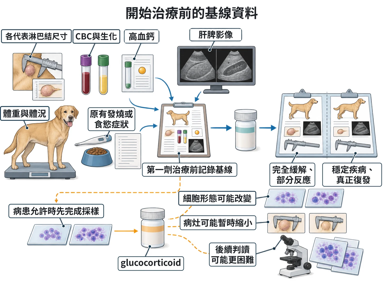 開始治療前的基線資料教學插圖