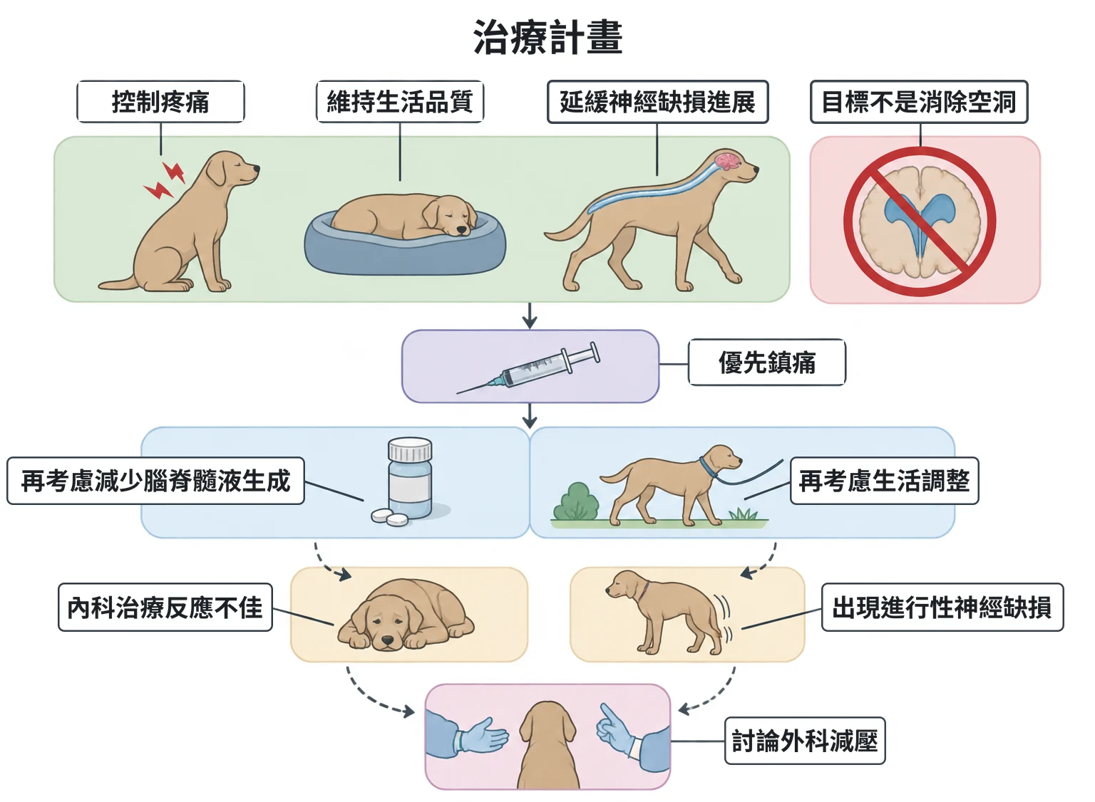 治療計畫教學插圖