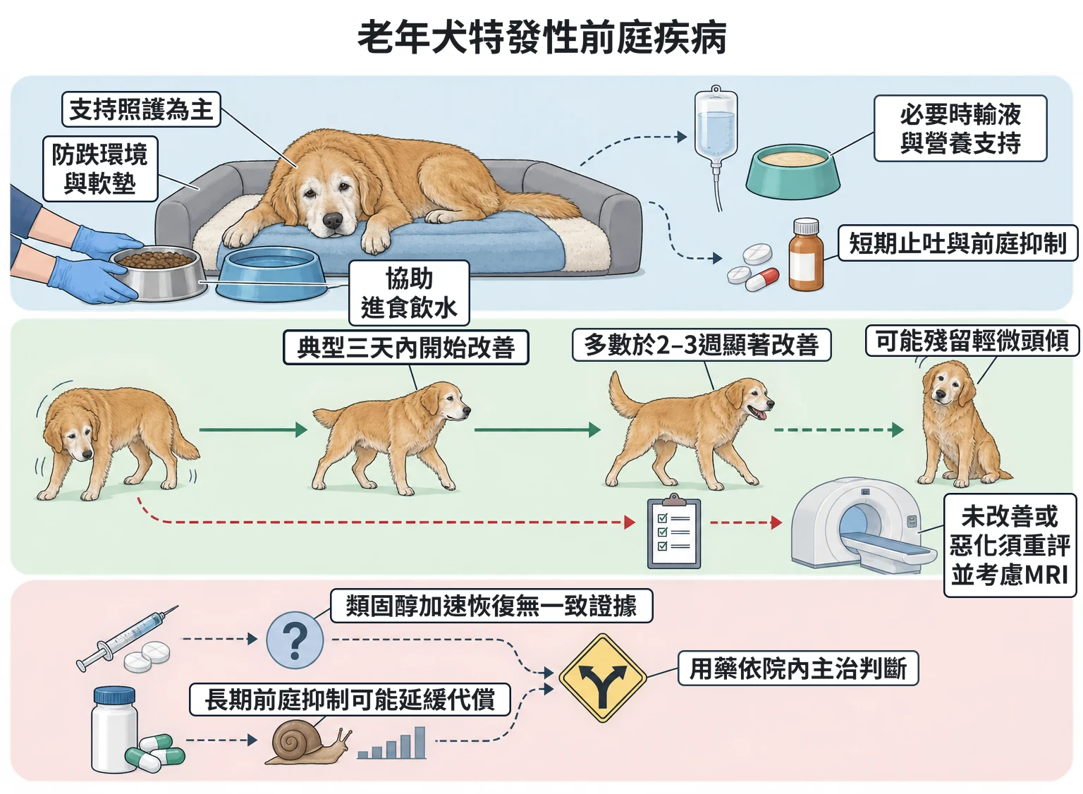 老年犬特發性前庭疾病教學插圖