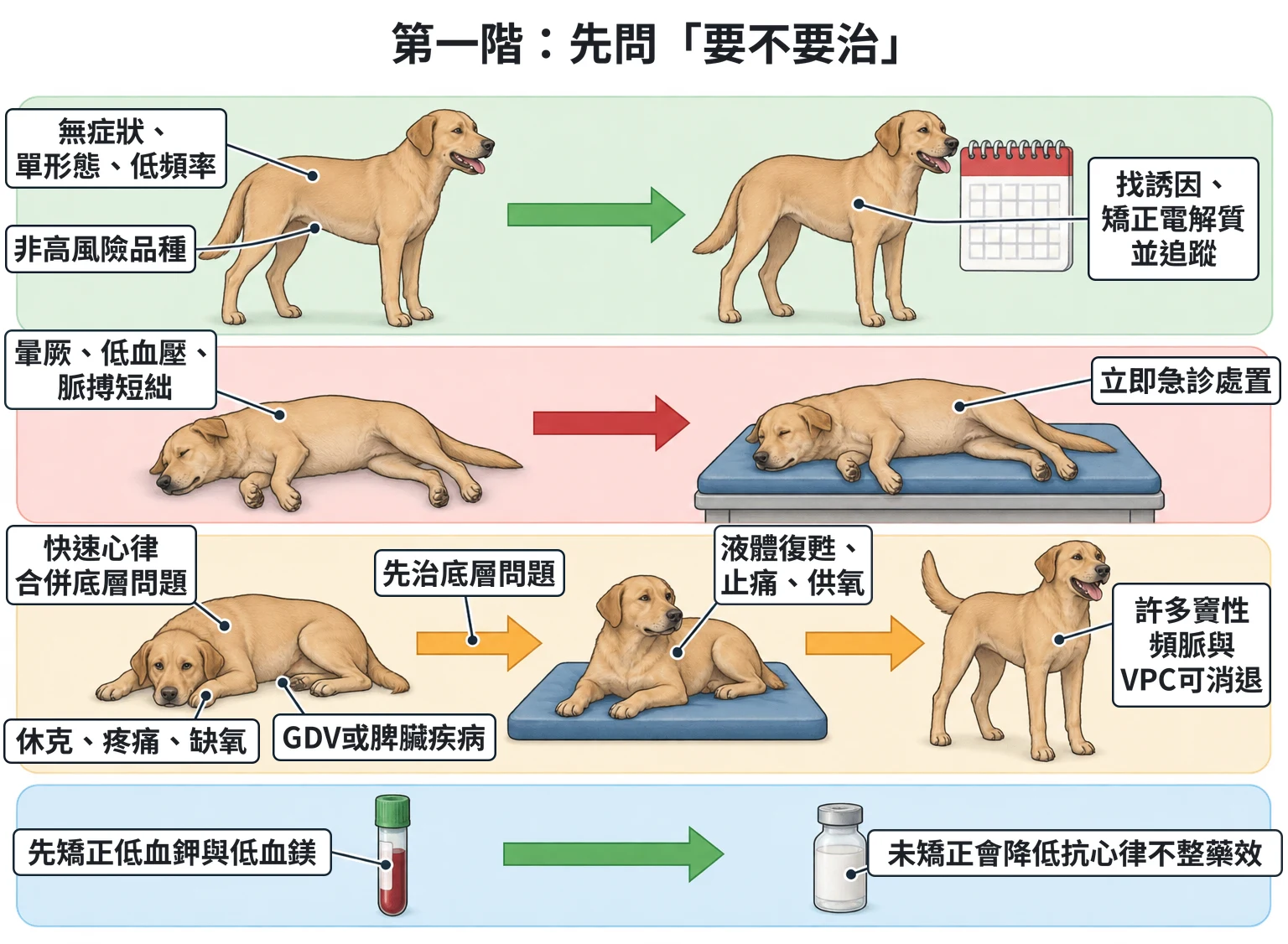 第一階:先問「要不要治」教學插圖