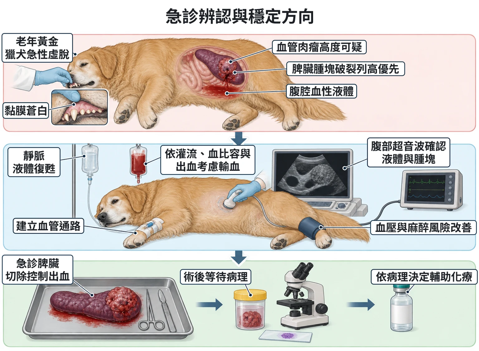 急診辨認與穩定方向教學插圖