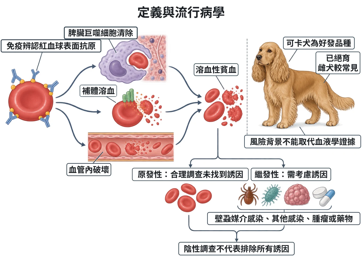 定義與流行病學教學插圖