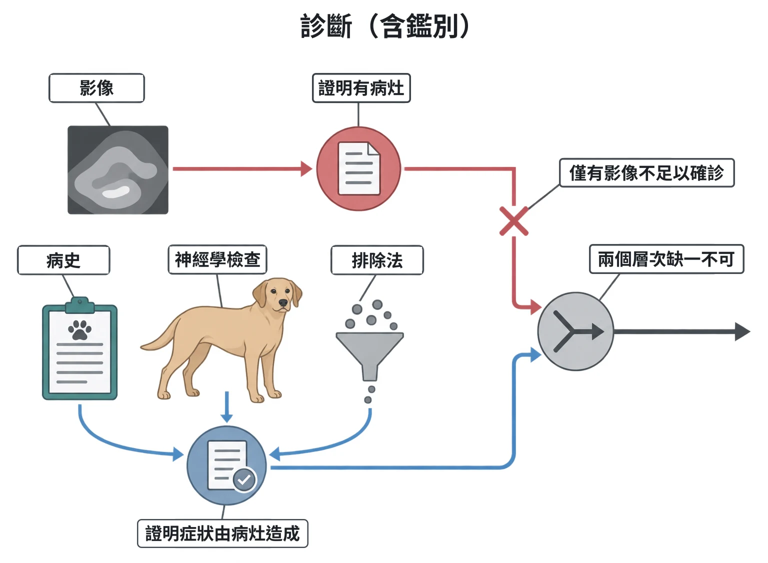 診斷(含鑑別)教學插圖