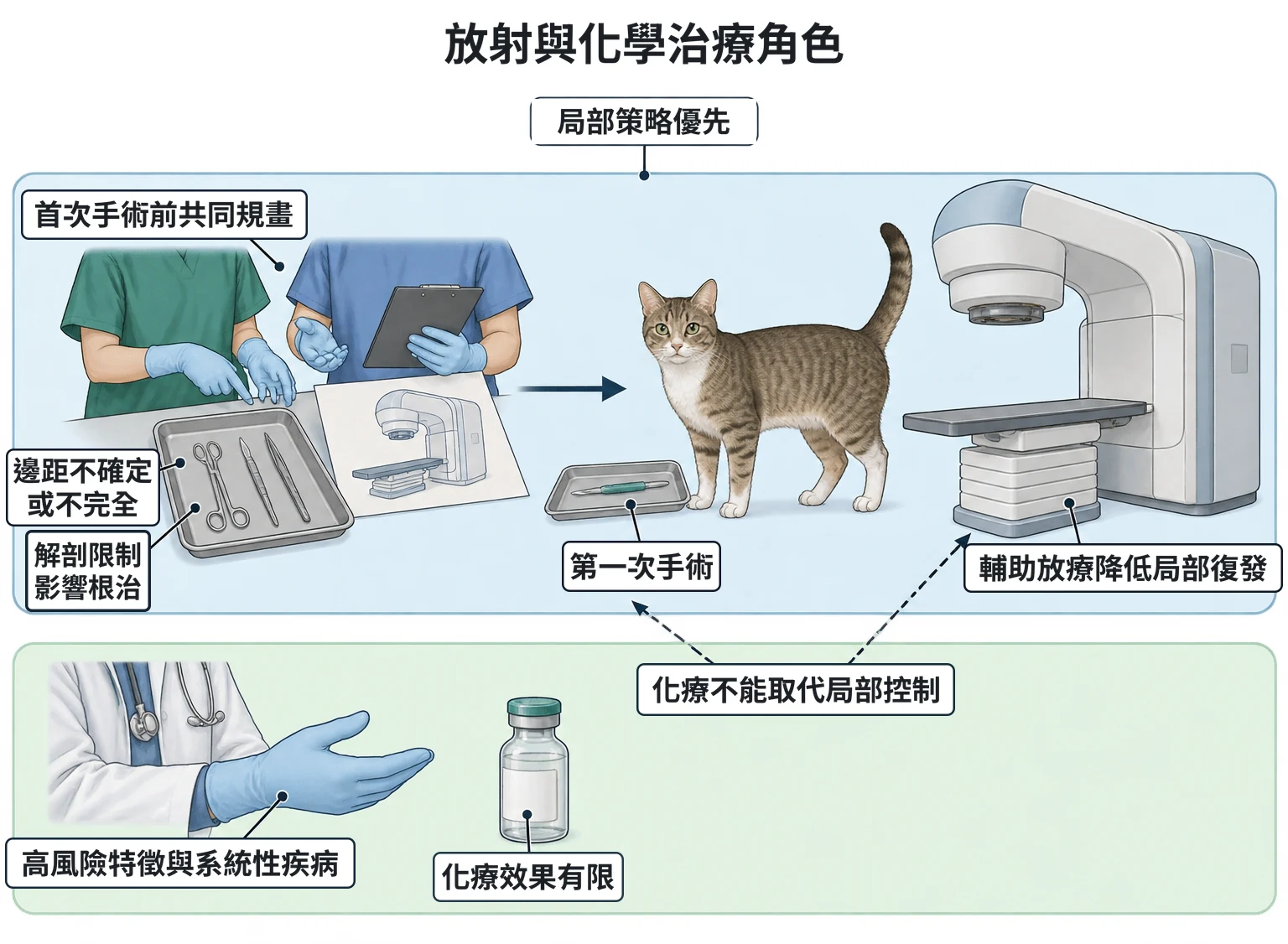 放射與化學治療角色教學插圖