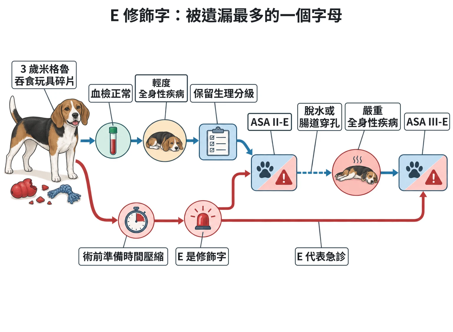 E 修飾字:被遺漏最多的一個字母教學插圖