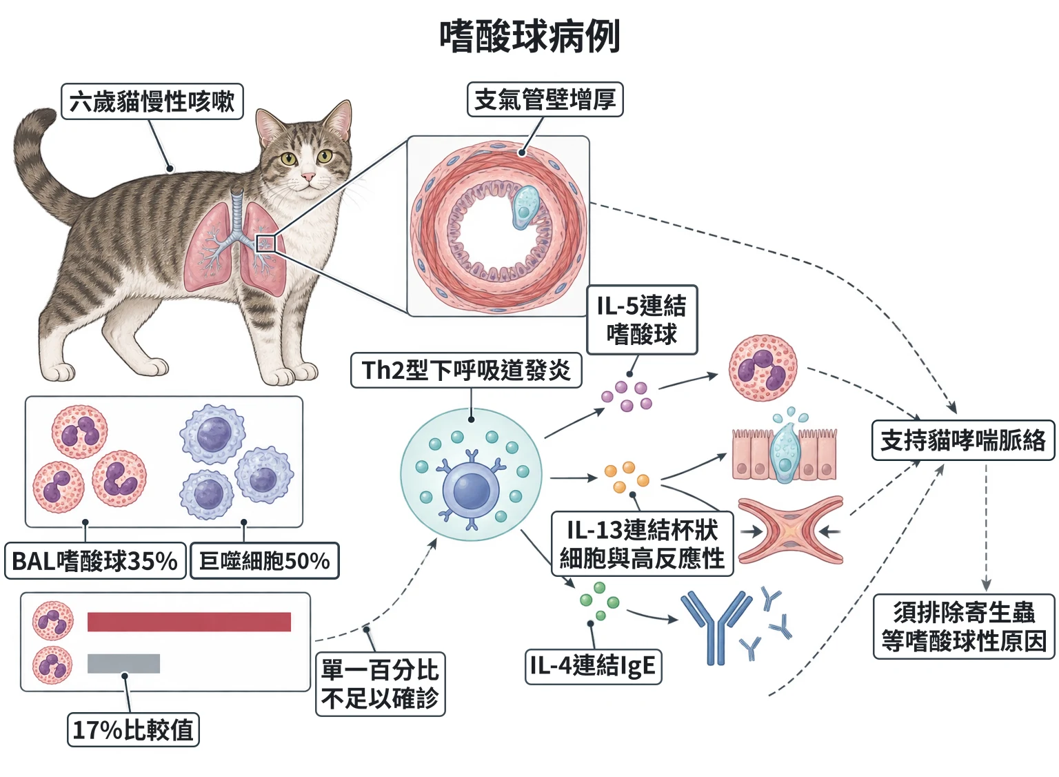 嗜酸球病例教學插圖