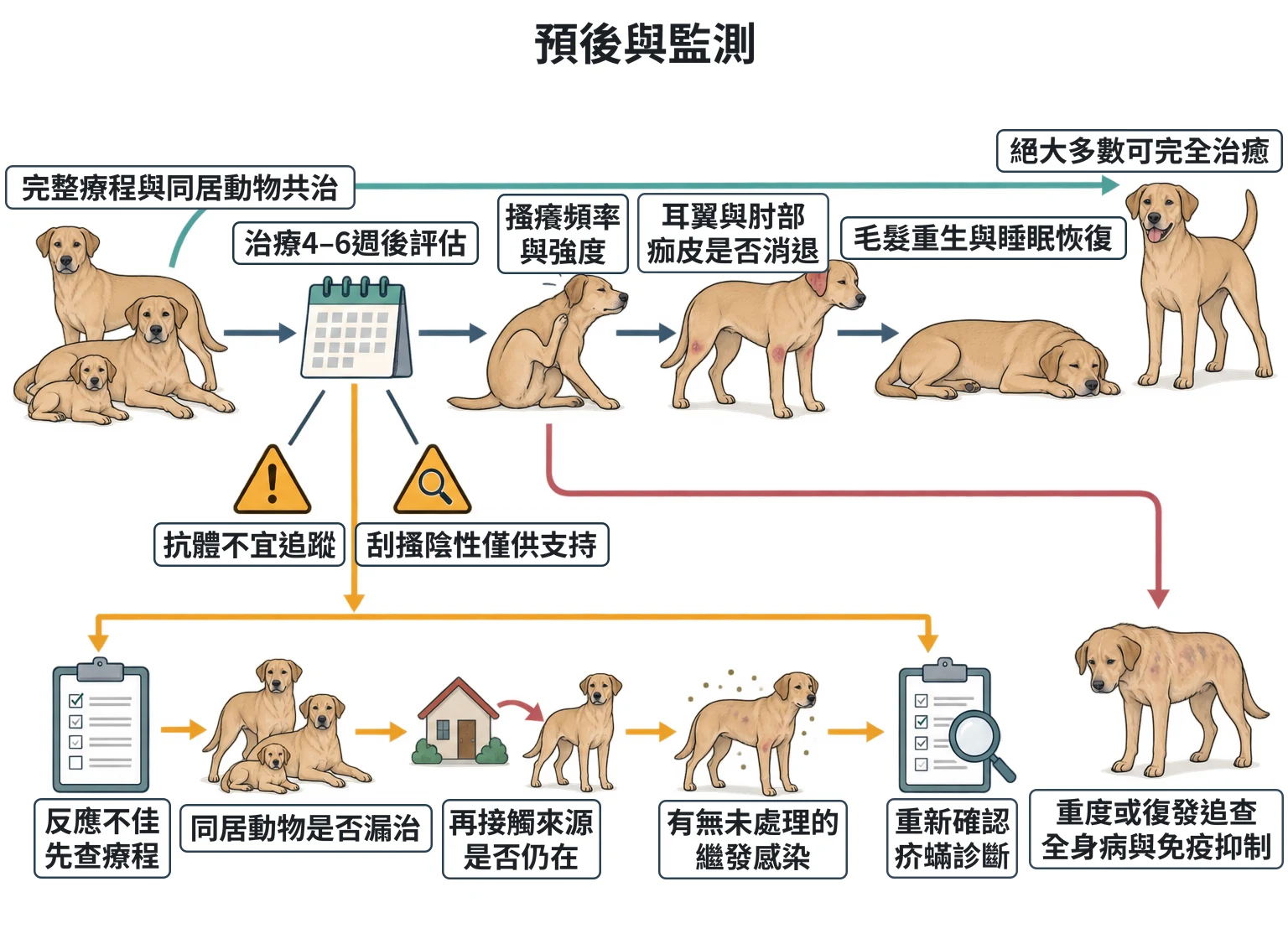 預後與監測教學插圖
