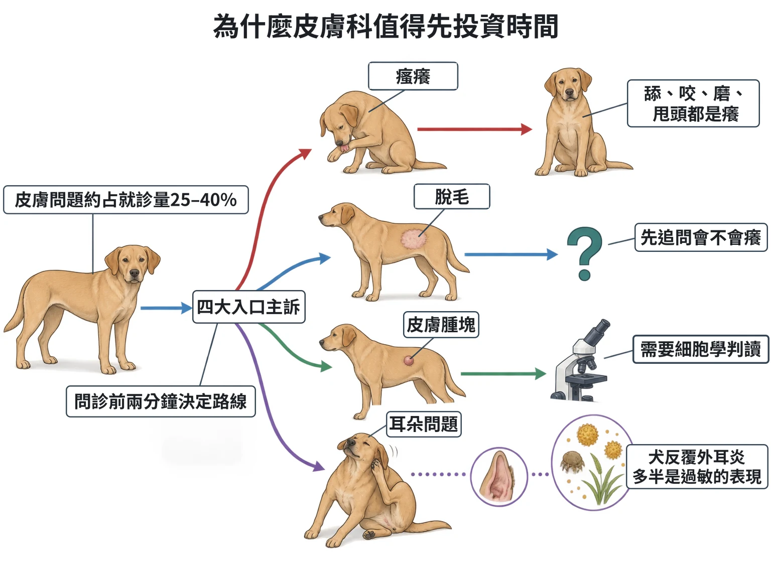 為什麼皮膚科值得先投資時間教學插圖