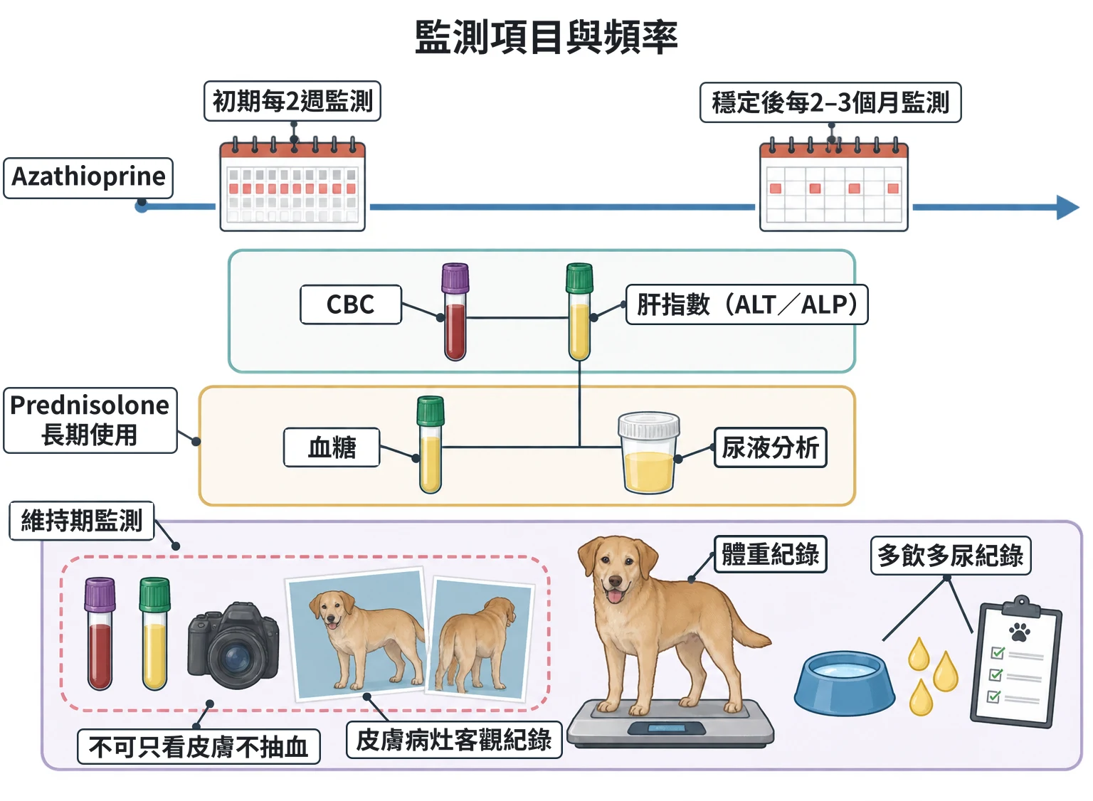 監測項目與頻率教學插圖