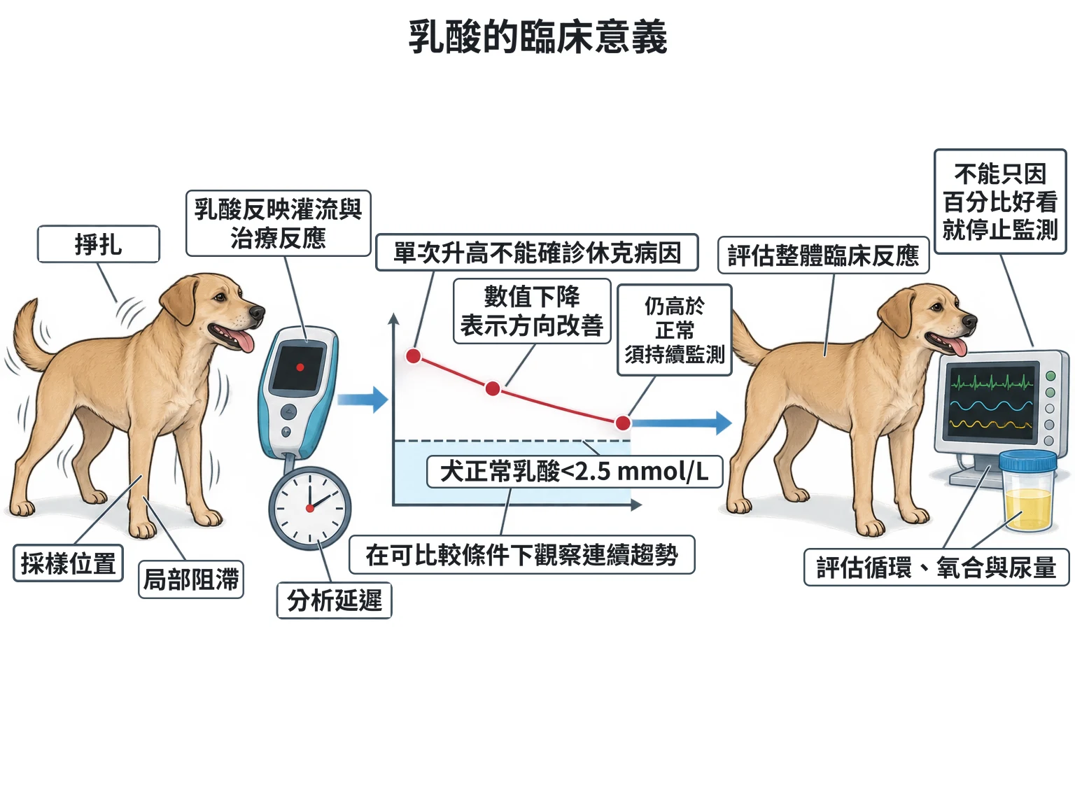 乳酸的臨床意義教學插圖