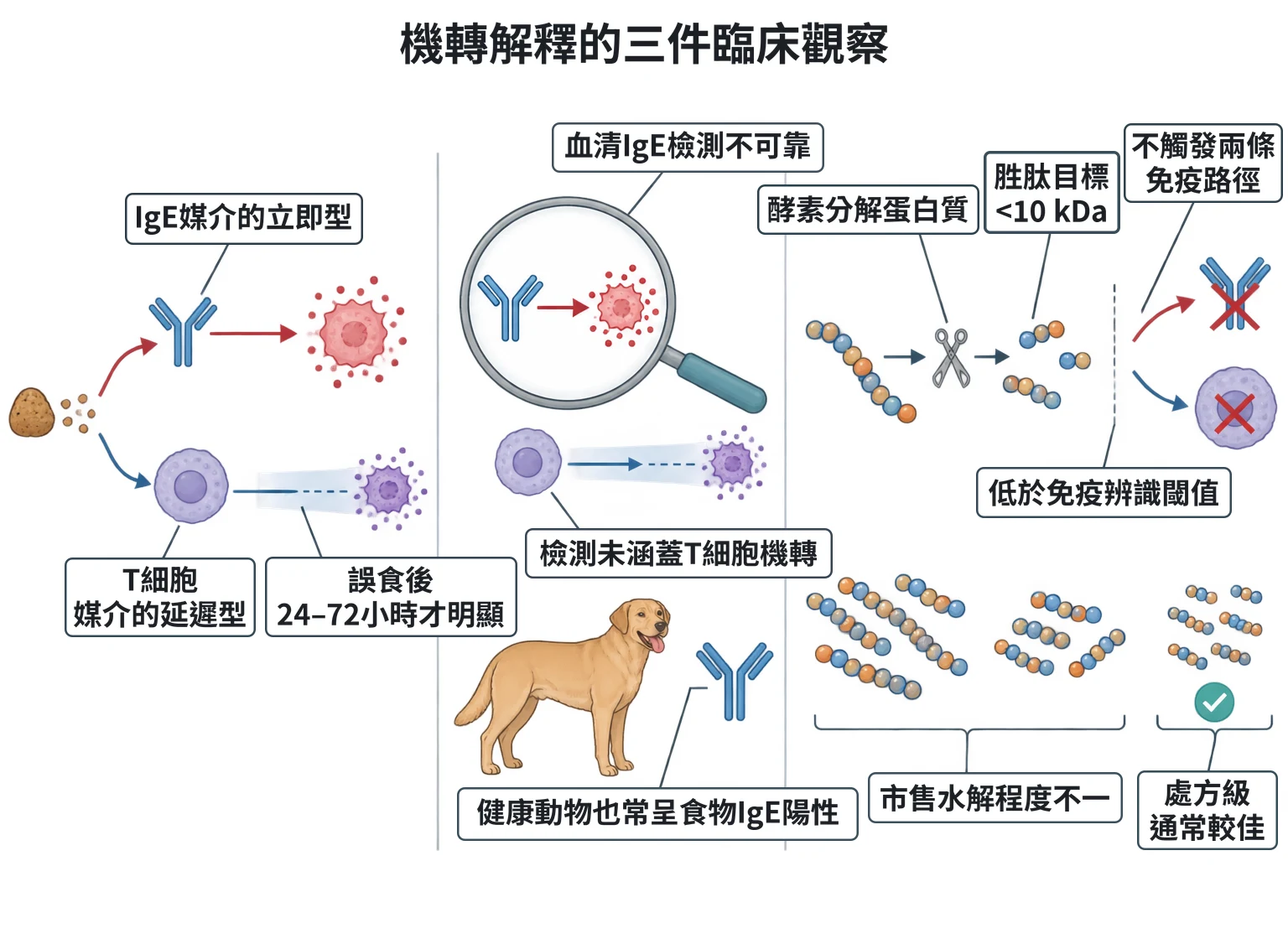 機轉解釋的三件臨床觀察教學插圖