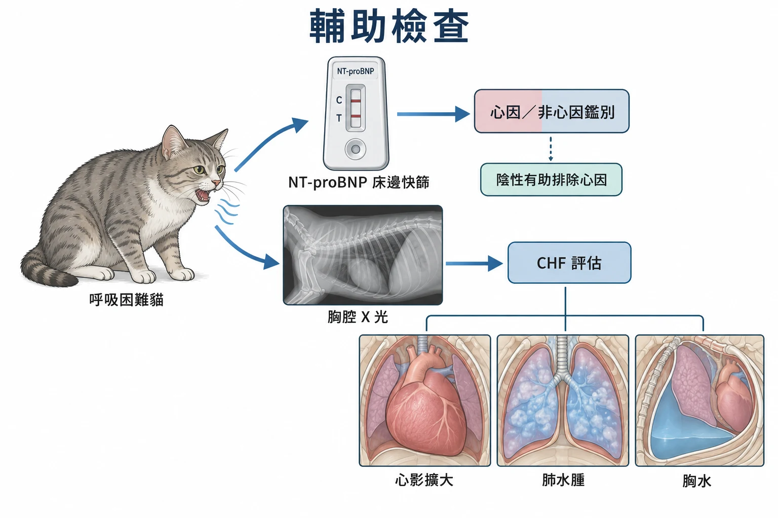 輔助檢查教學插圖