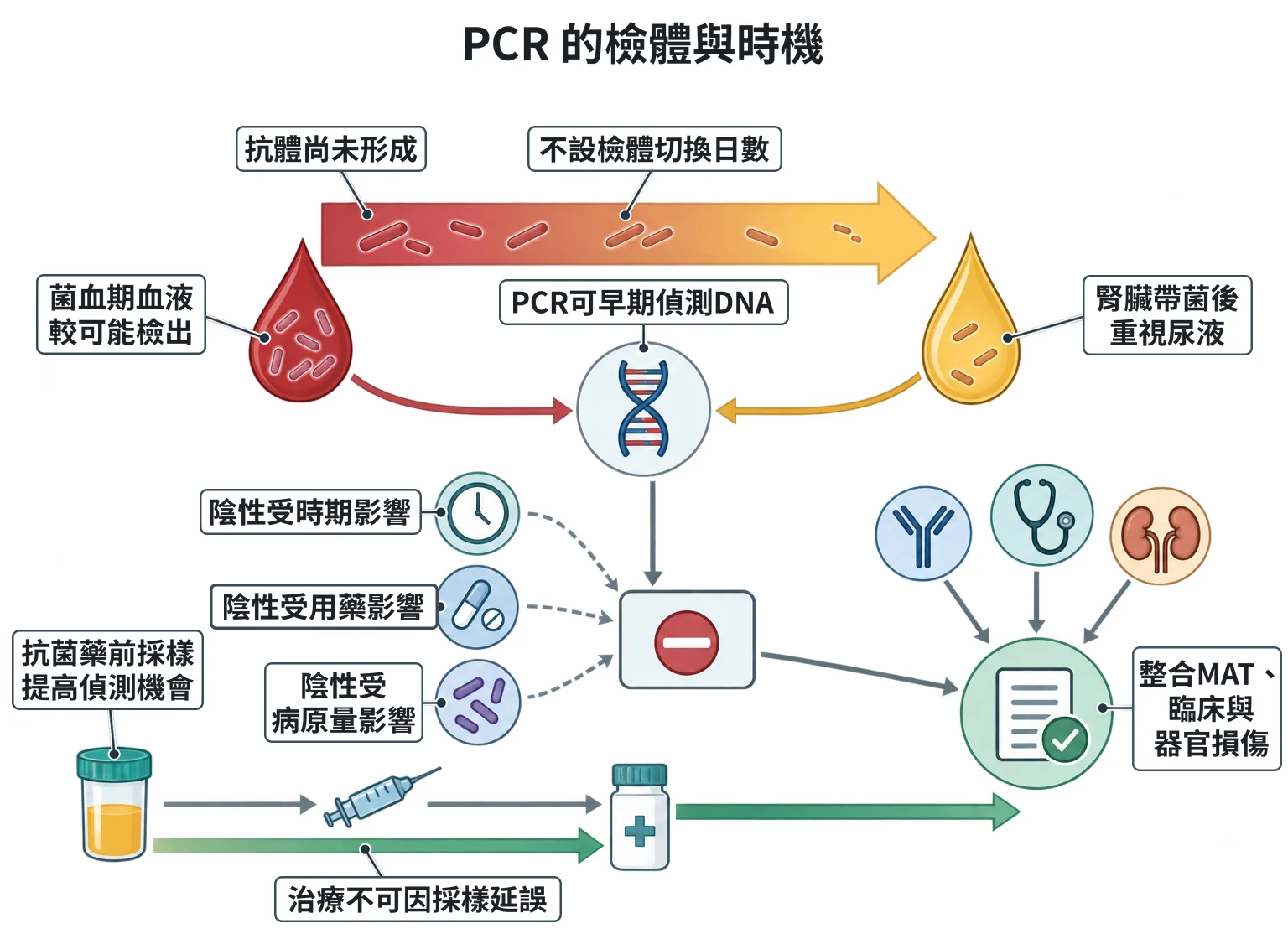 PCR 的檢體與時機教學插圖