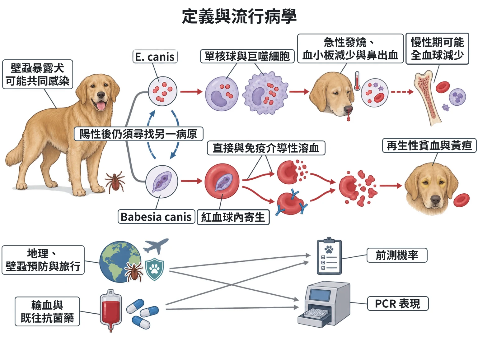 定義與流行病學教學插圖