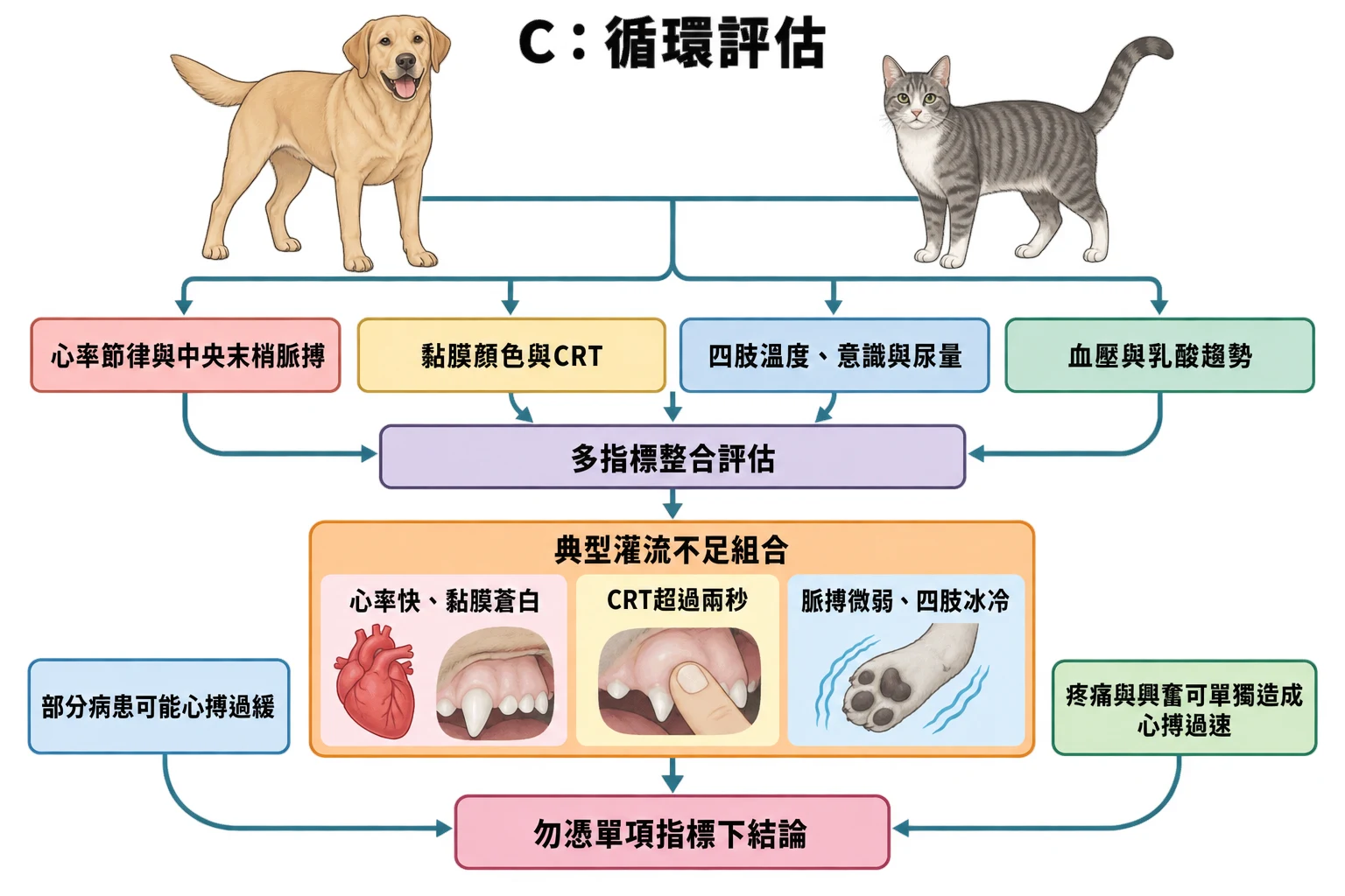 C:循環評估教學插圖