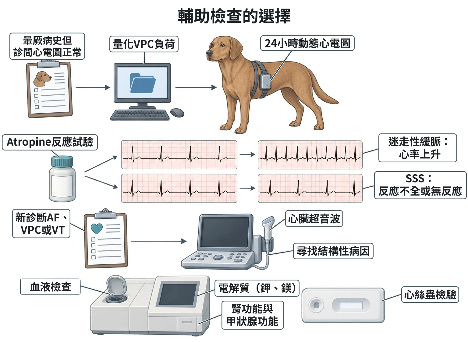 輔助檢查的選擇教學插圖