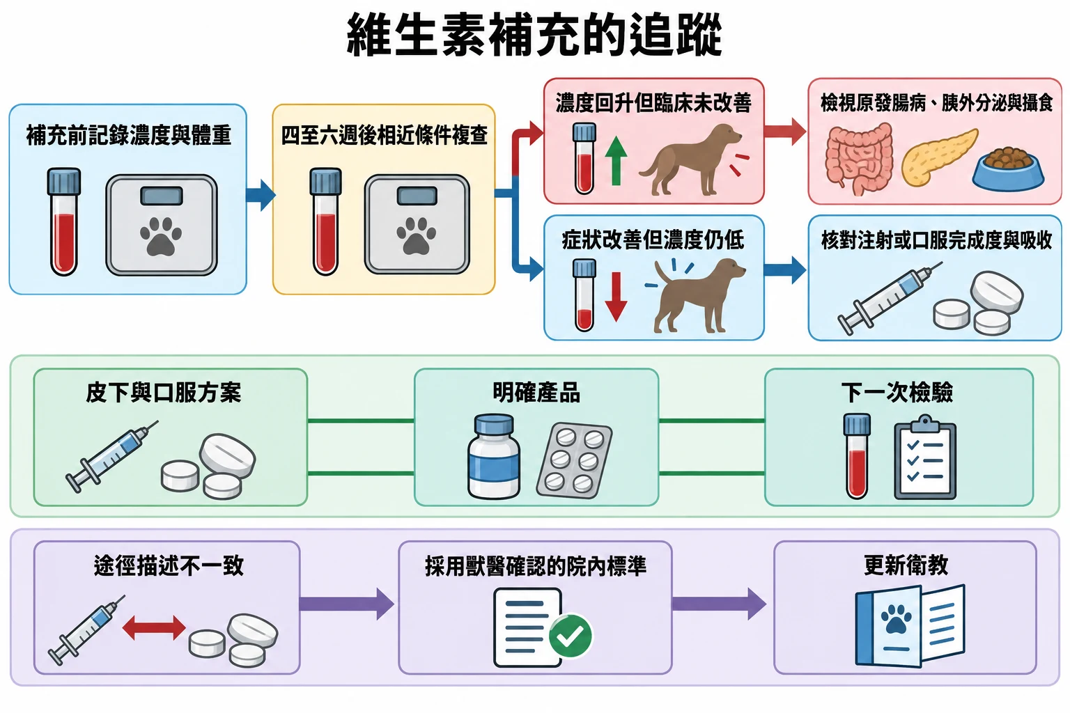 維生素補充的追蹤教學插圖