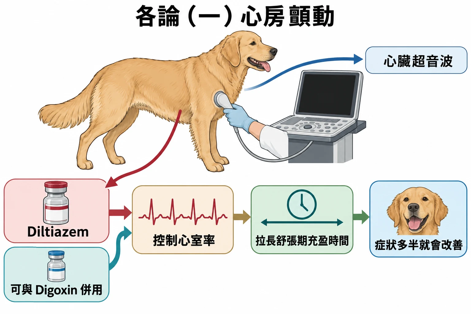 各論(一)心房顫動教學插圖