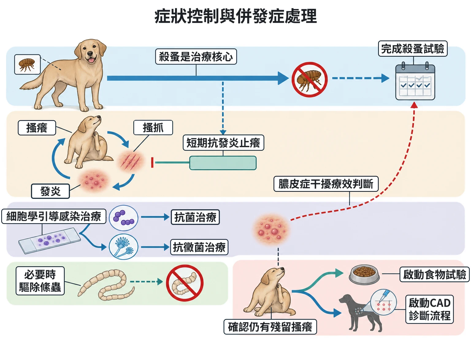 症狀控制與併發症處理教學插圖