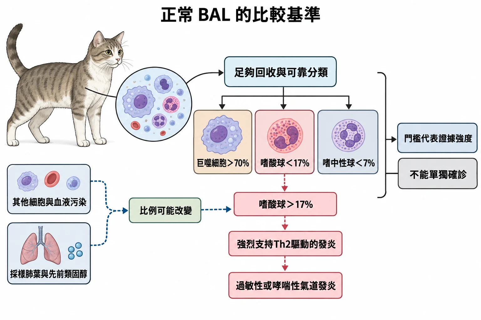 正常 BAL 的比較基準教學插圖