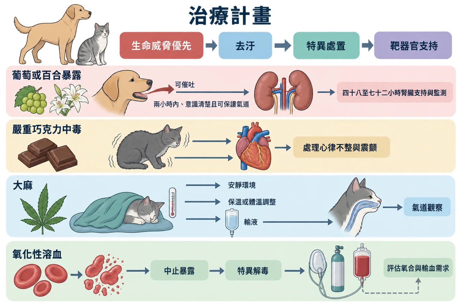 治療計畫教學插圖