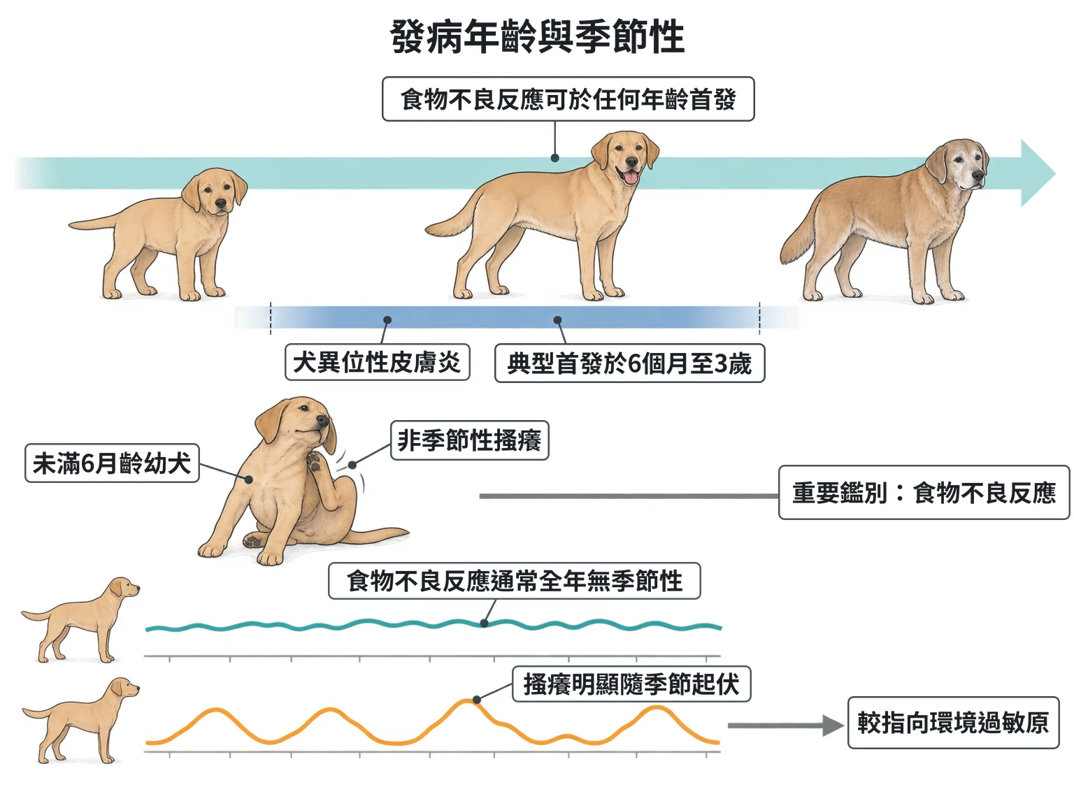 發病年齡與季節性教學插圖