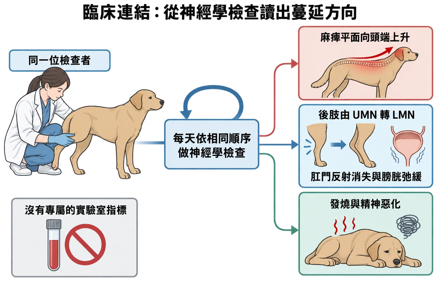 臨床連結:從神經學檢查讀出蔓延方向教學插圖