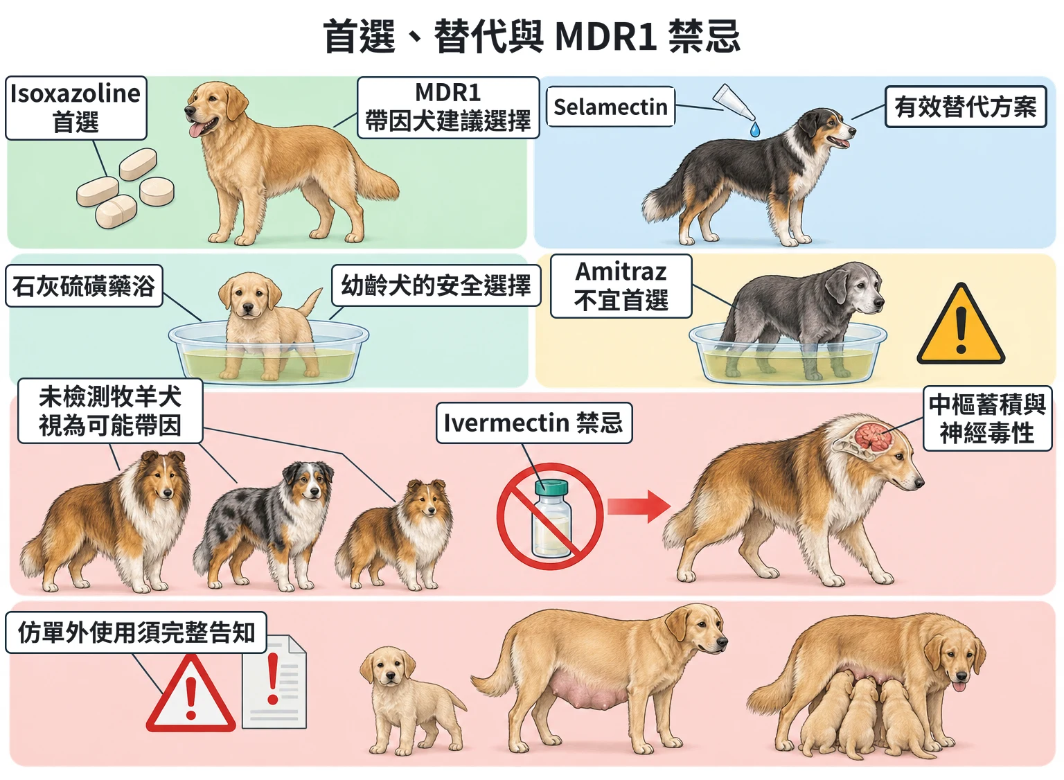 首選、替代與 MDR1 禁忌教學插圖