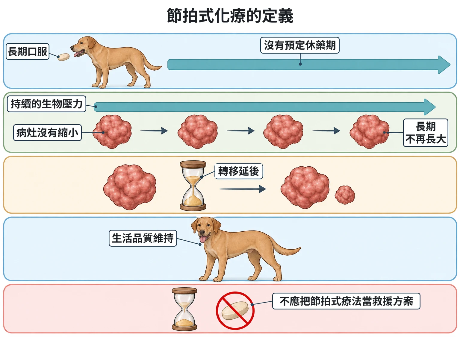 節拍式化療的定義教學插圖