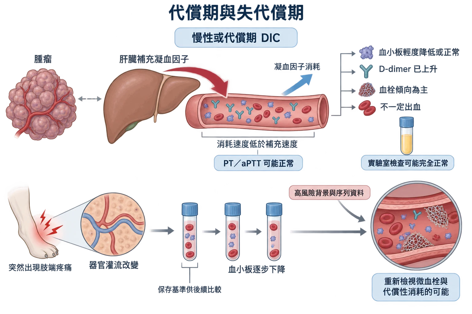 代償期與失代償期教學插圖