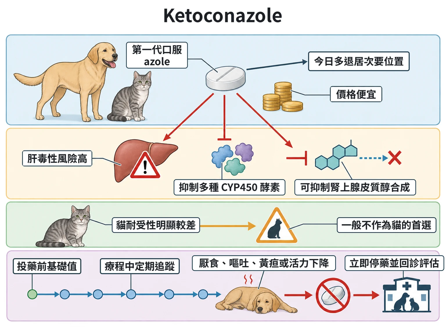 Ketoconazole教學插圖