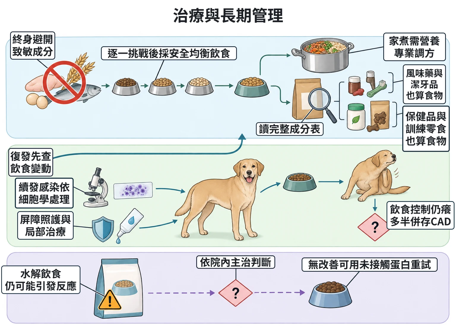治療與長期管理教學插圖