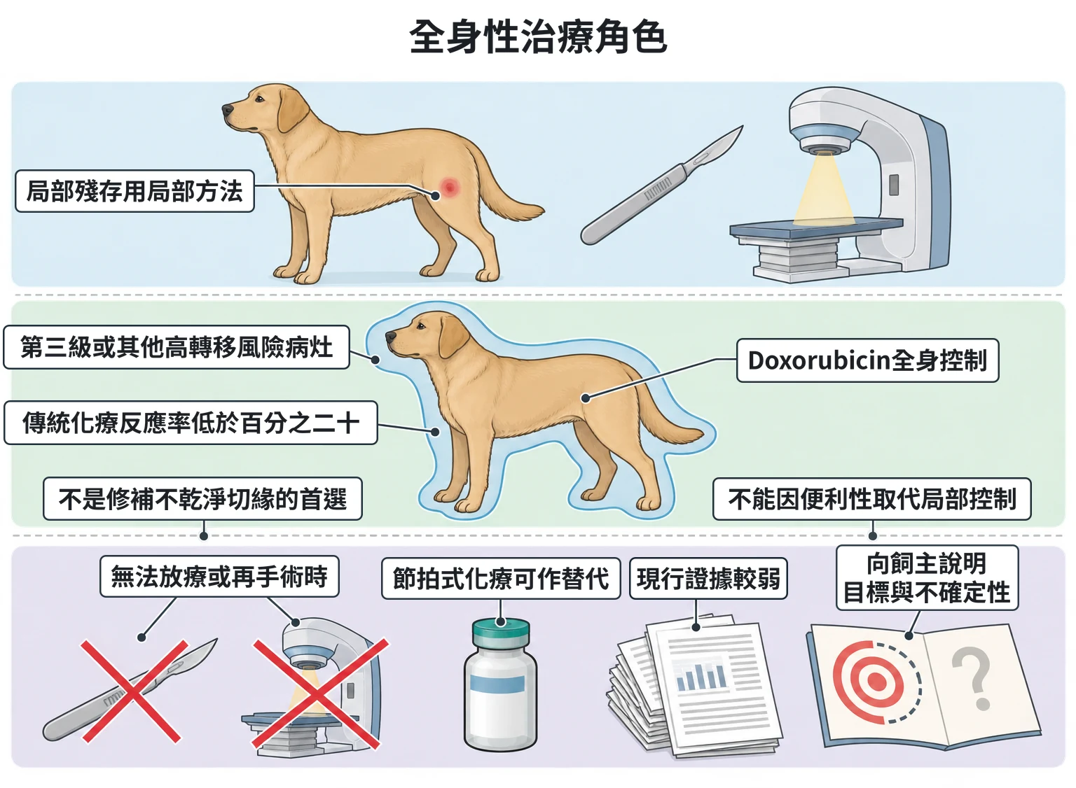 全身性治療角色教學插圖