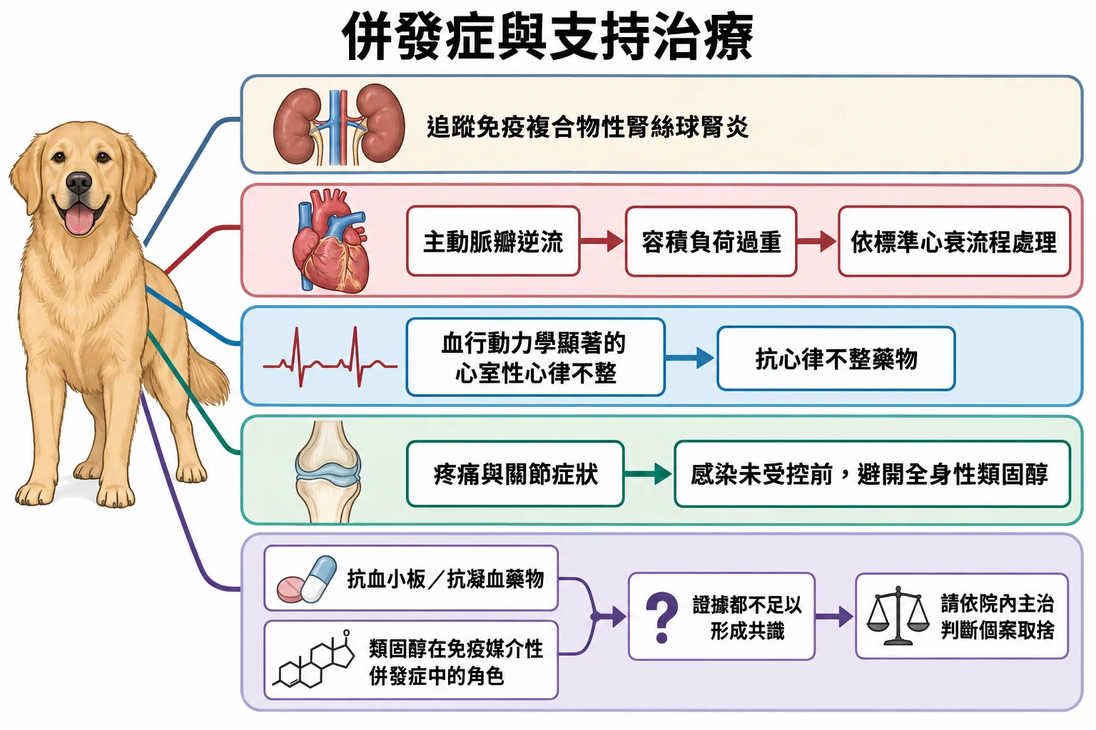併發症與支持治療教學插圖