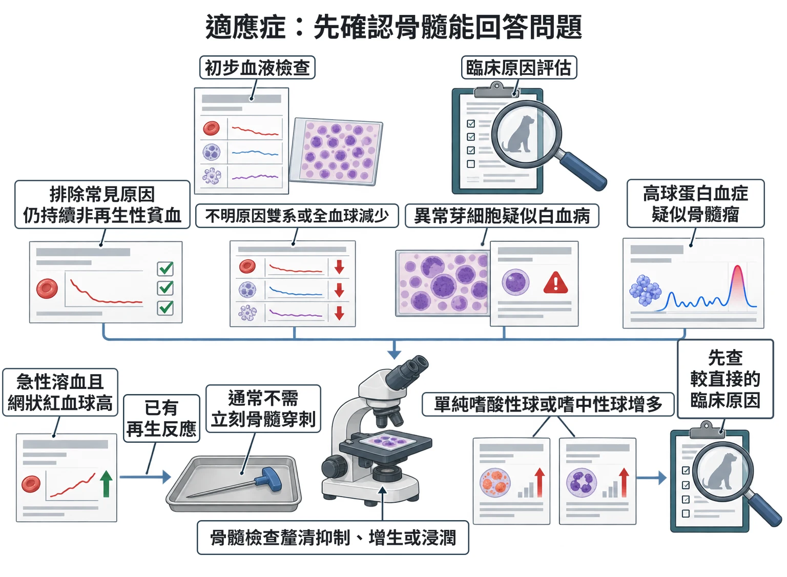 適應症:先確認骨髓能回答問題教學插圖