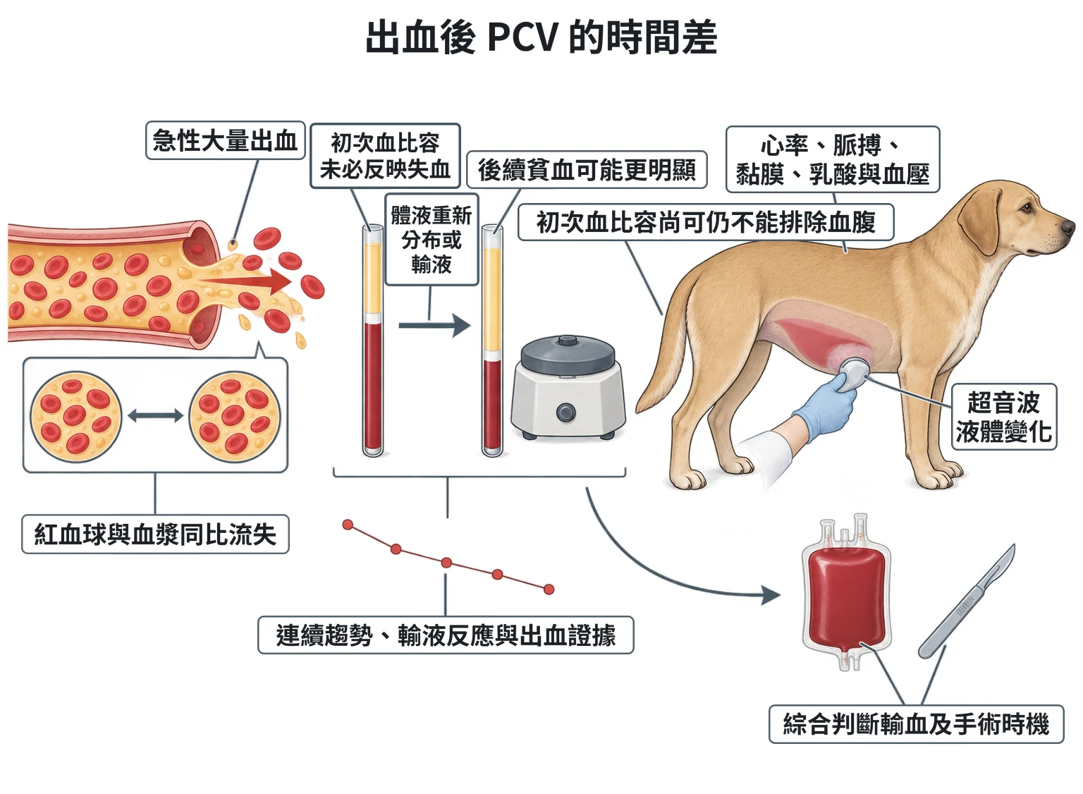 出血後 PCV 的時間差教學插圖