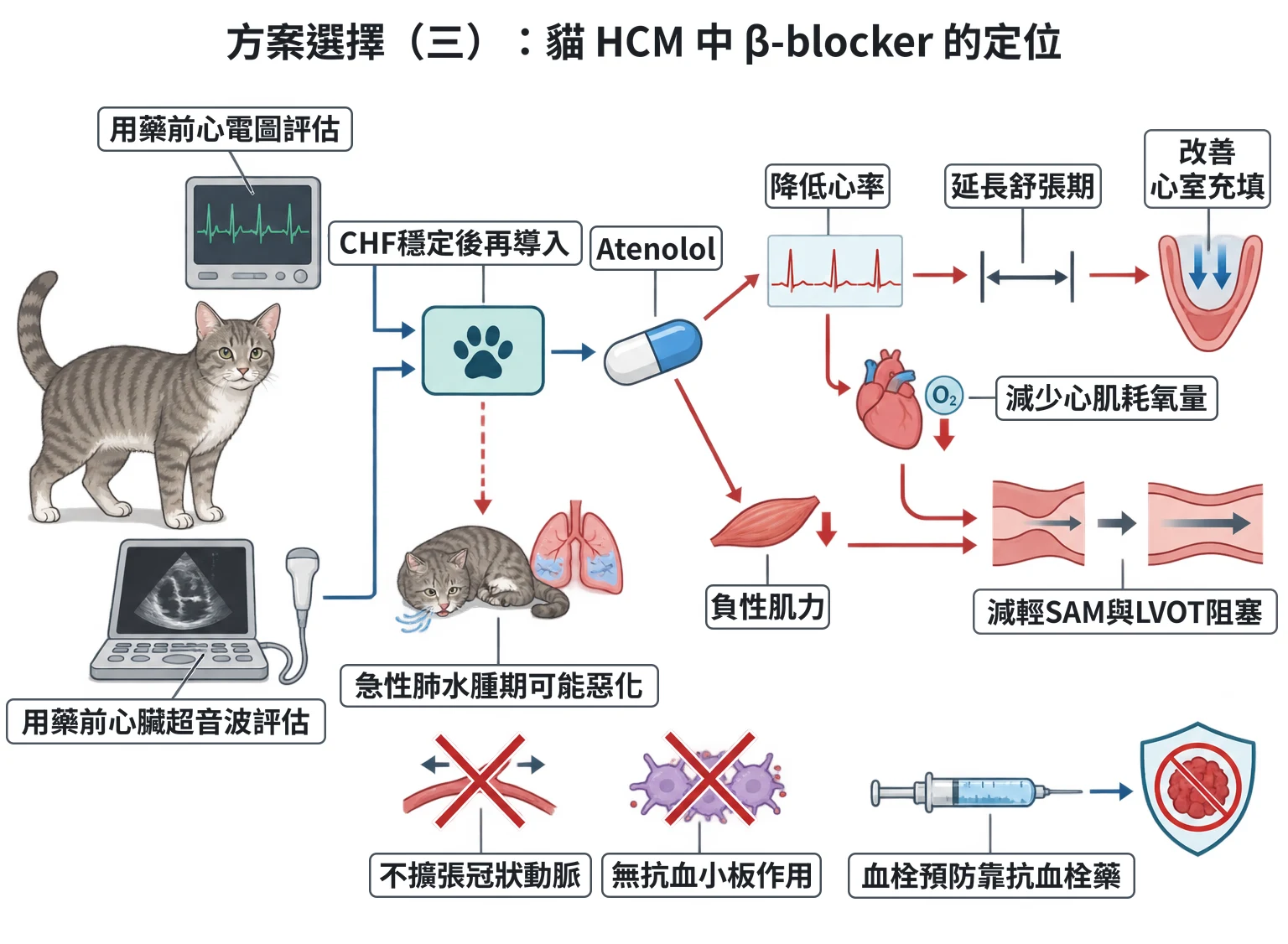 方案選擇(三):貓 HCM 中 β-blocker 的定位教學插圖