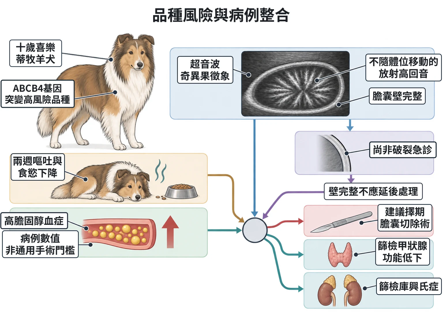 品種風險與病例整合教學插圖