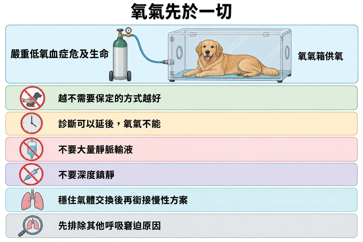 氧氣先於一切教學插圖