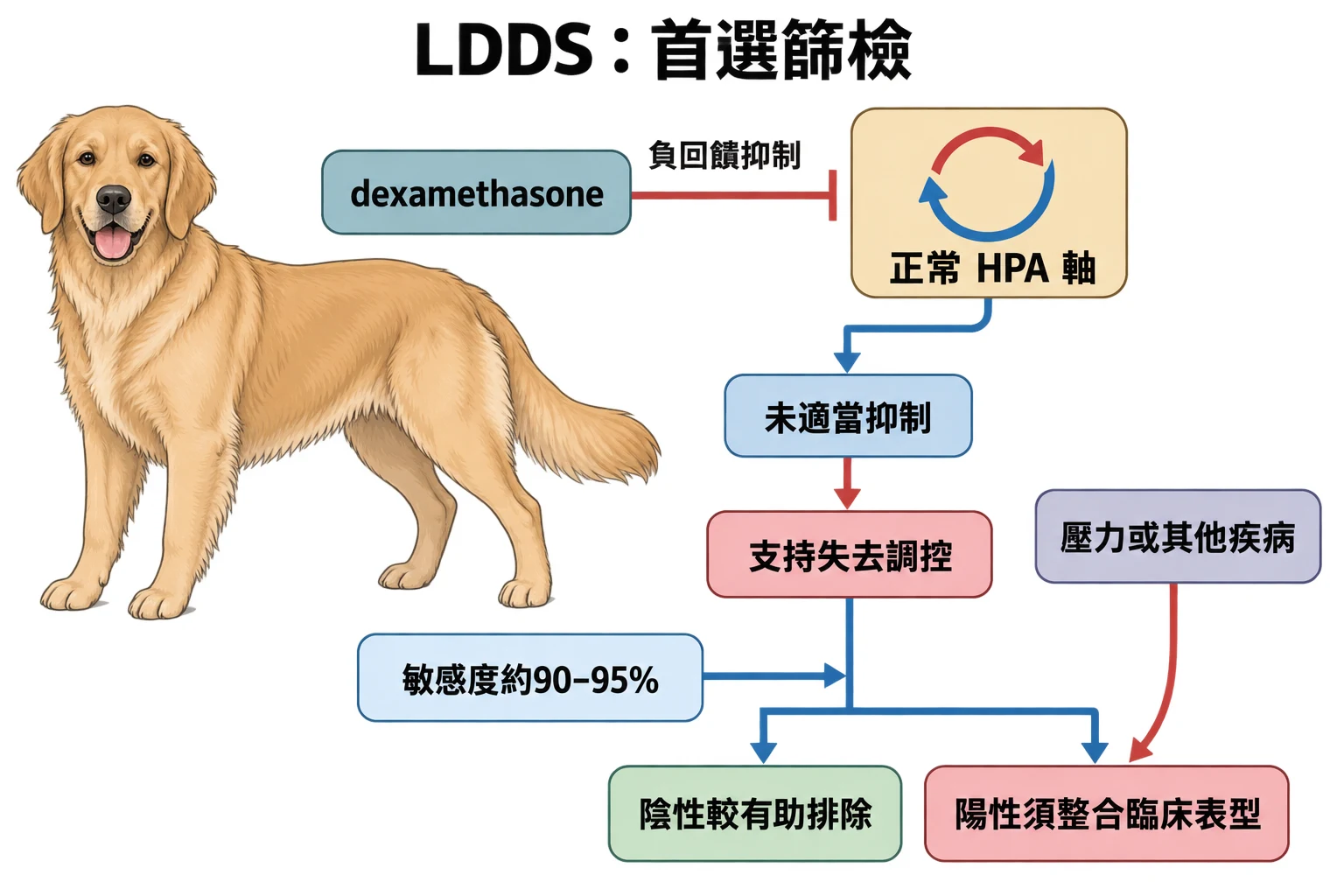 LDDS:首選篩檢教學插圖