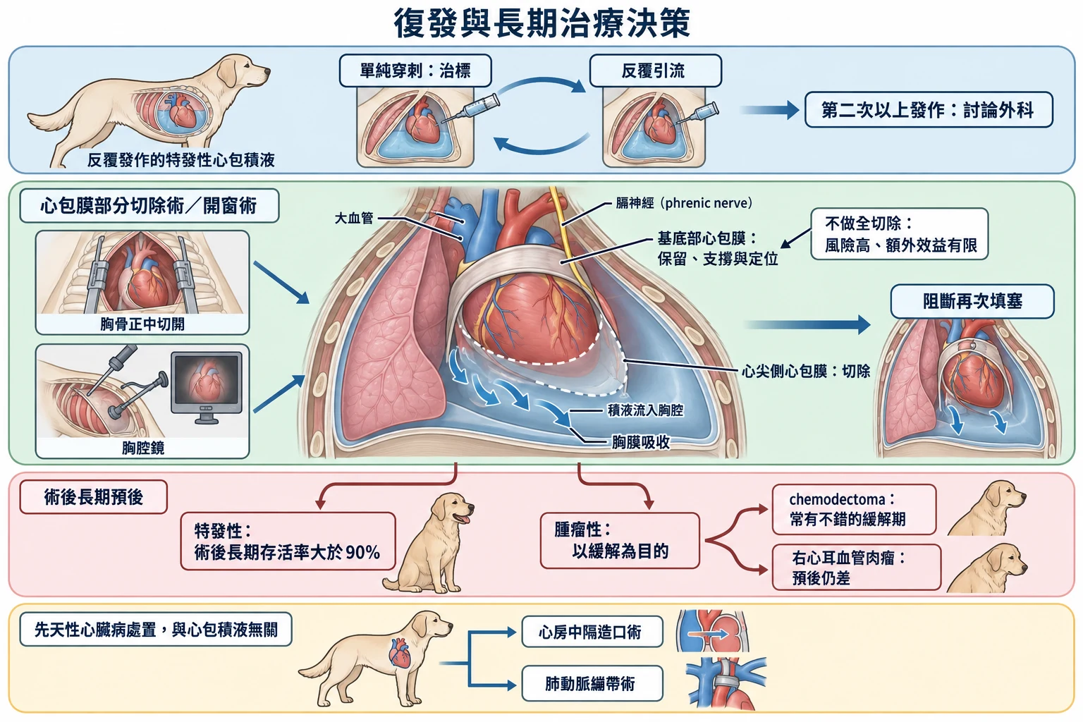 復發與長期治療決策教學插圖