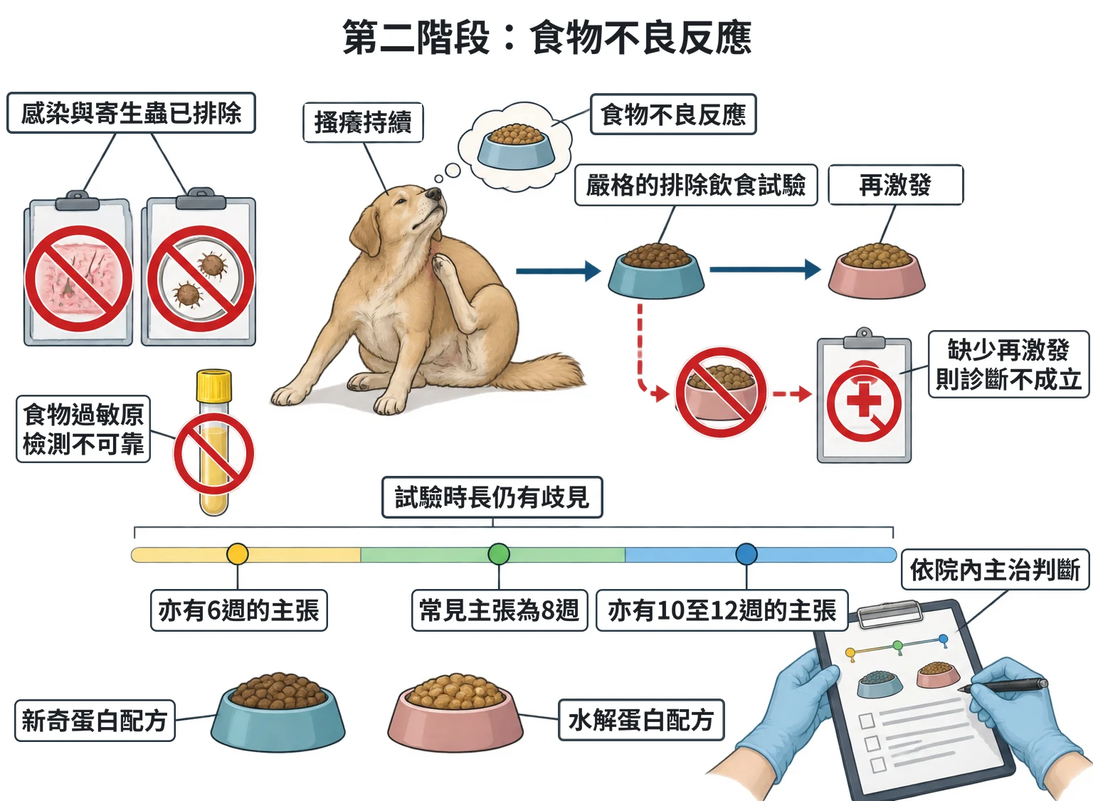第二階段:食物不良反應教學插圖