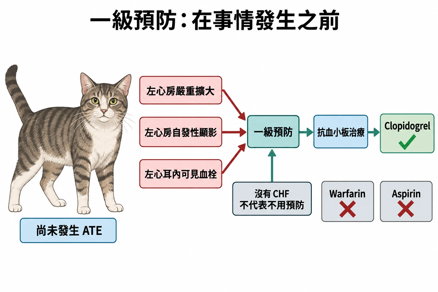 一級預防:在事情發生之前教學插圖