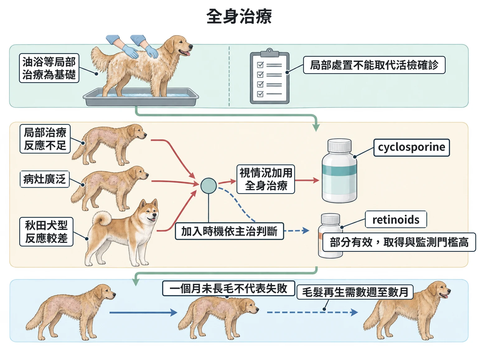 全身治療教學插圖