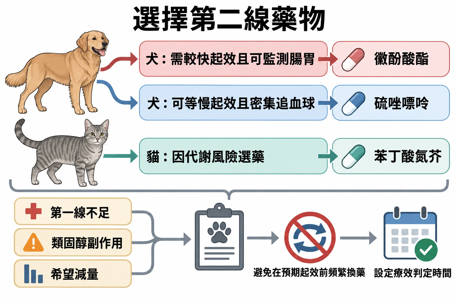 選擇第二線藥物教學插圖