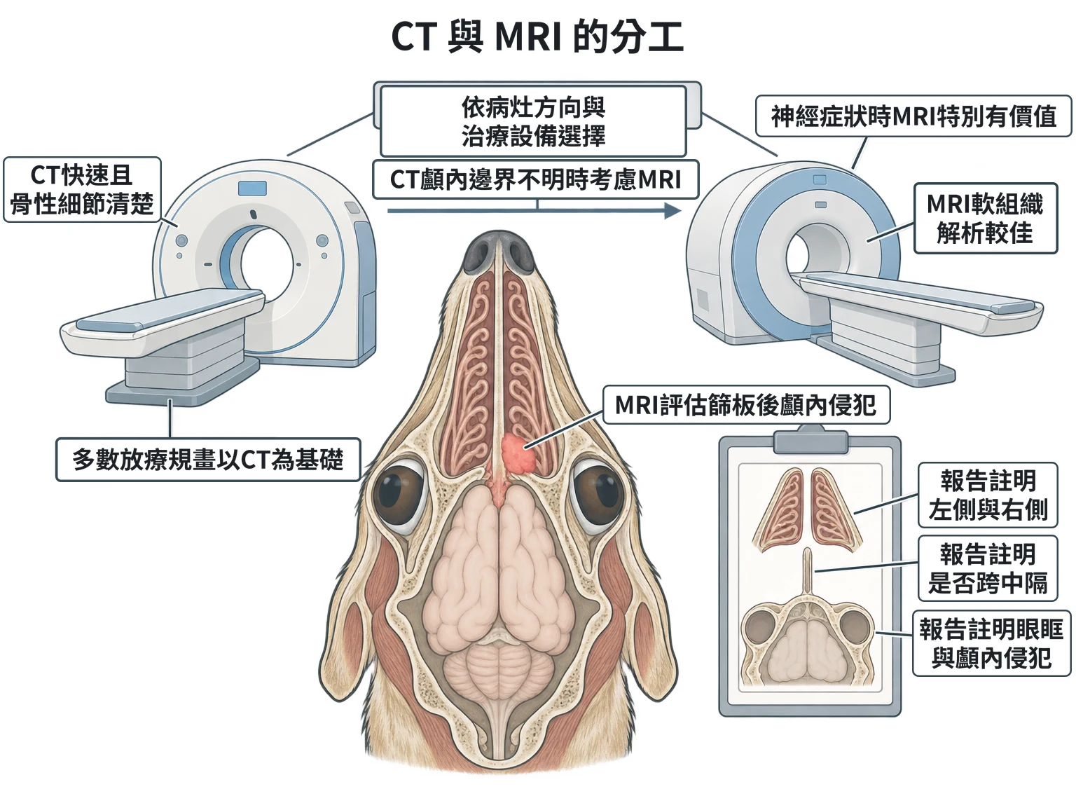 CT 與 MRI 的分工教學插圖