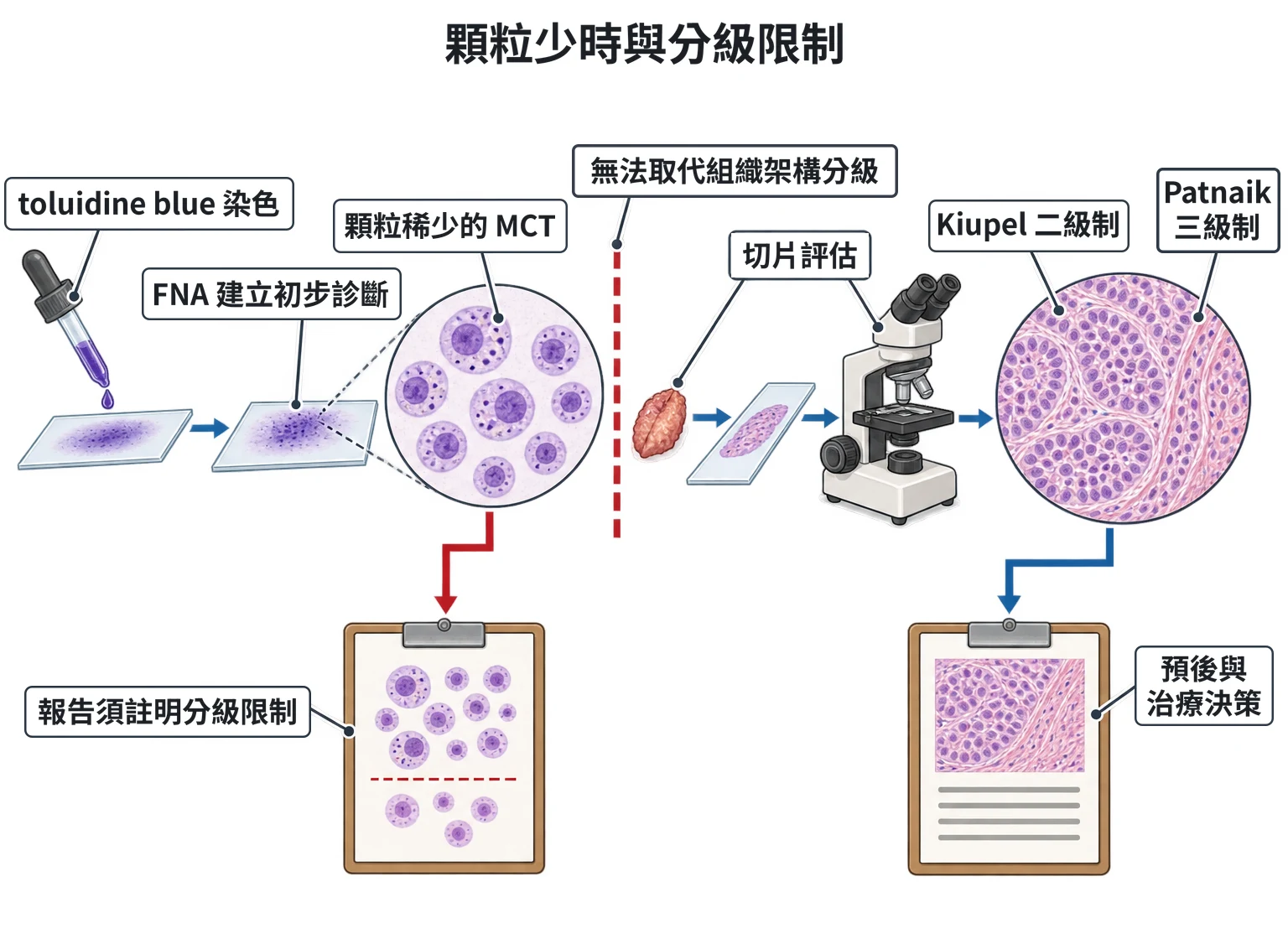 顆粒少時與分級限制教學插圖
