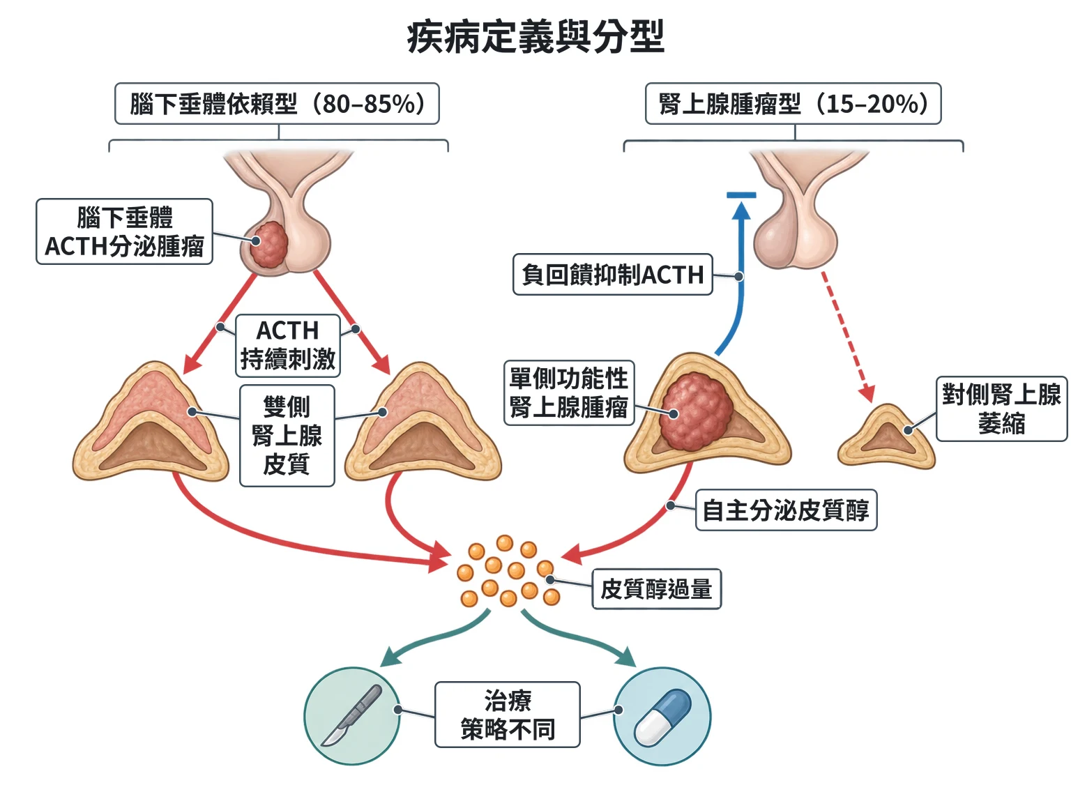 疾病定義與分型教學插圖