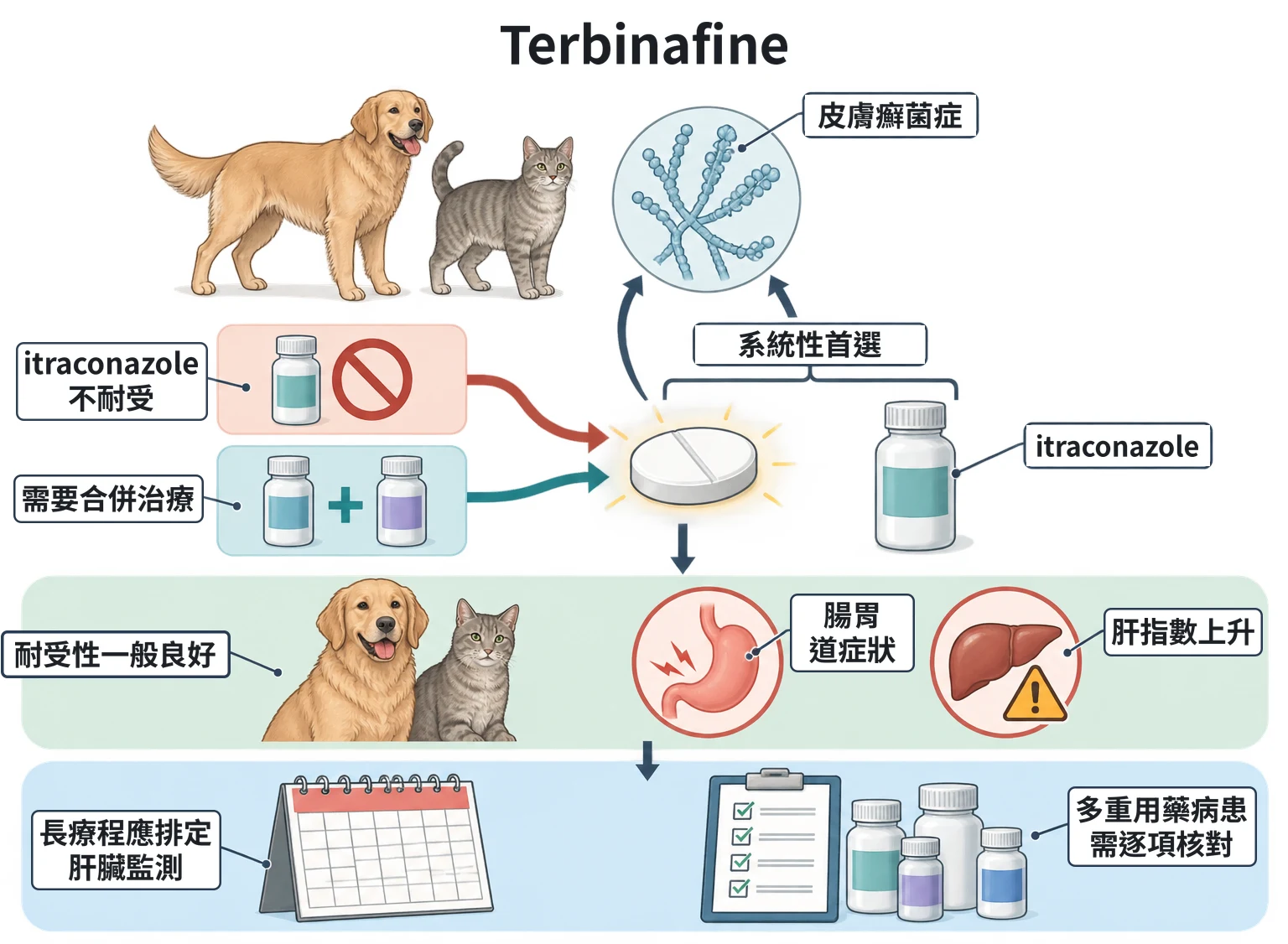 Terbinafine教學插圖